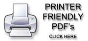 Boat security & alarm system printable flyer